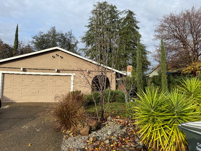 8445 Palmaire Way in Orangevale, CA - Building Photo - Building Photo