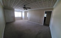 313 N Lexington St, Unit 1 in Lyons, GA - Building Photo - Building Photo