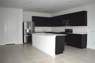 20854 Magnolia Crk Ln in Land O Lakes, FL - Building Photo - Building Photo