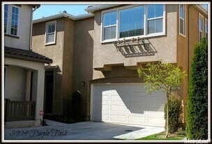 3904 Purple Finch Ln in Modesto, CA - Building Photo
