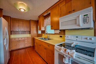 64 Kaapuni Loop in Hilo, HI - Building Photo - Building Photo