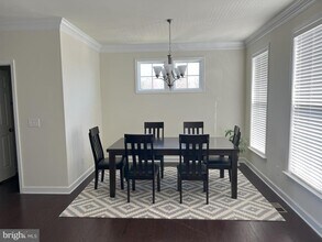 42595 Oak Pk Sq in Ashburn, VA - Building Photo - Building Photo