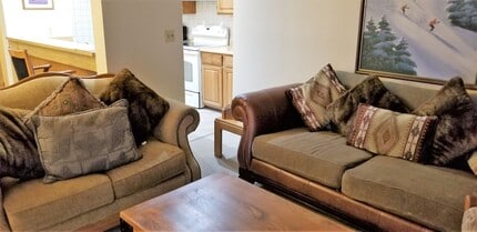 323 Marina Dr in Dillon, CO - Building Photo - Building Photo