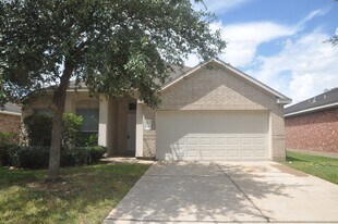 19118 Mossy Hedge Ln in Katy, TX - Building Photo