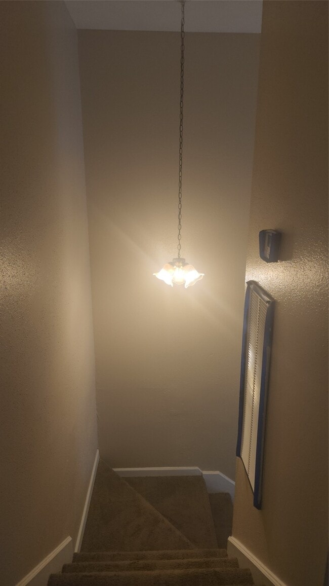 property at 12223 Wild Pine Dr