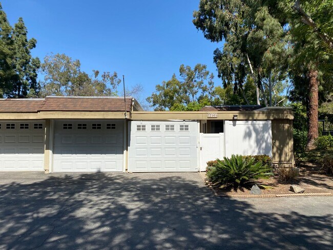 22505 Caminito Costa in Laguna Hills, CA - Building Photo - Building Photo