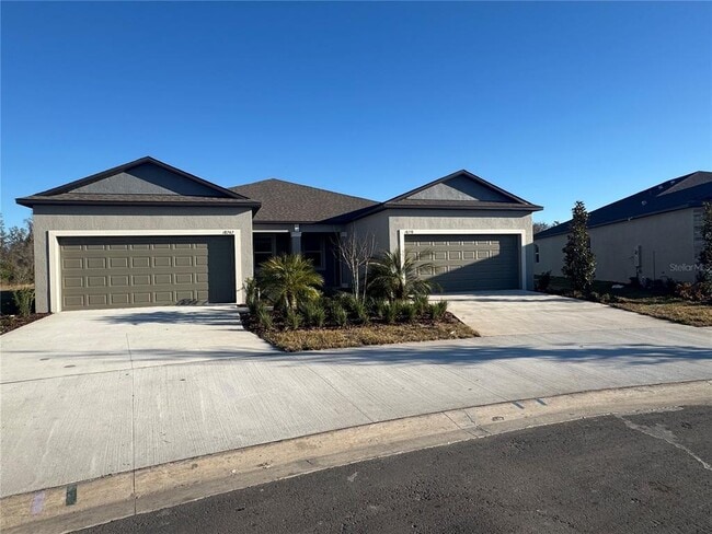 18238 Pleasentville Blvd in Land O Lakes, FL - Building Photo - Building Photo