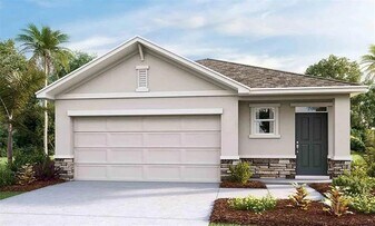 32528 Weathered Oak Dr in Wesley Chapel, FL - Building Photo