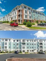 4 Repton Pl, Unit 4309 in Watertown, MA - Building Photo