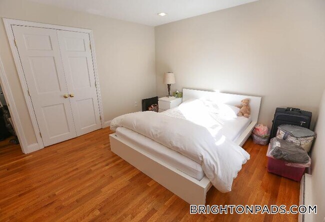 15 Euston Rd in Boston, MA - Building Photo - Building Photo
