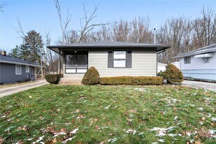 1171 Jason Ave in Akron, OH - Building Photo