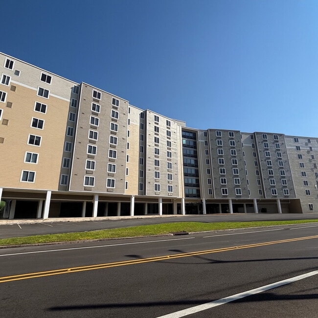 Magnolia Heights in Lake Charles, LA - Building Photo - Building Photo