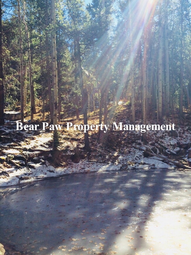 9163 Black Mountain Dr in Conifer, CO - Building Photo - Building Photo