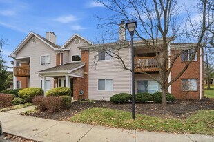 8515 Island Pines Pl in Maineville, OH - Building Photo