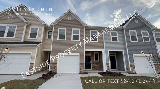property at 229 Lily Patch Ln