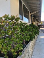 1733 Noranda Dr, Unit Four in Sunnyvale, CA - Building Photo