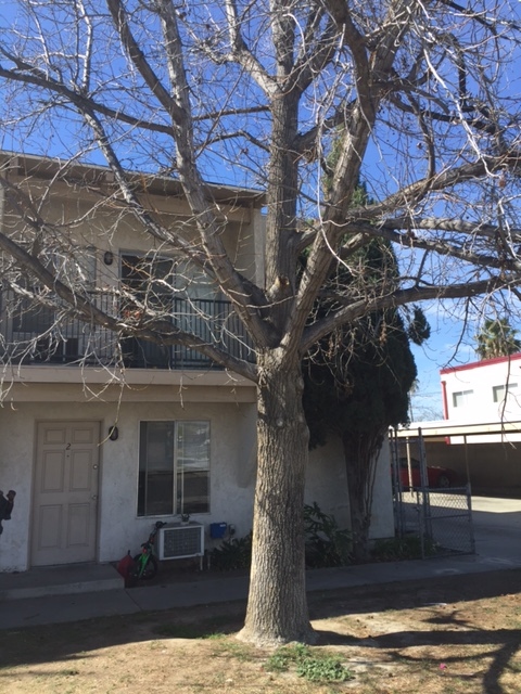 233 N Inez St in Hemet, CA - Building Photo - Building Photo