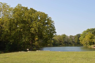 Edgewater Walk Apartments in Tinley Park, IL - Building Photo - Building Photo