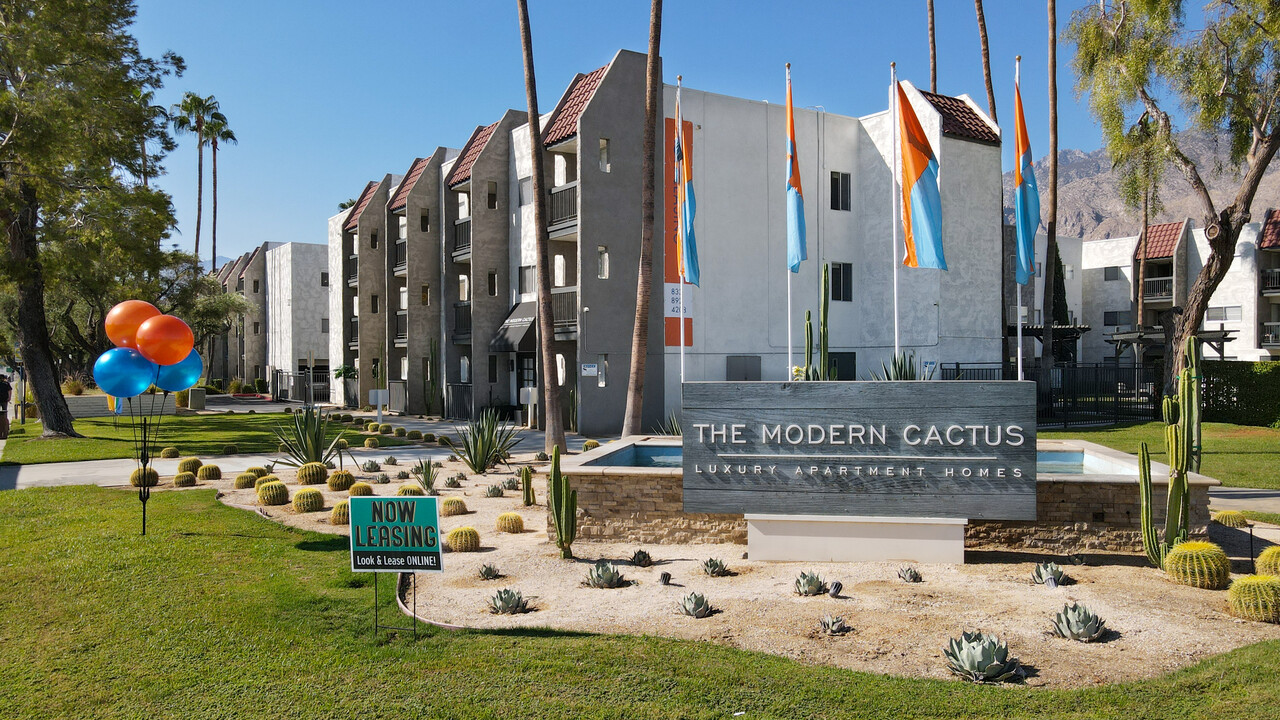 The Modern Cactus Photo