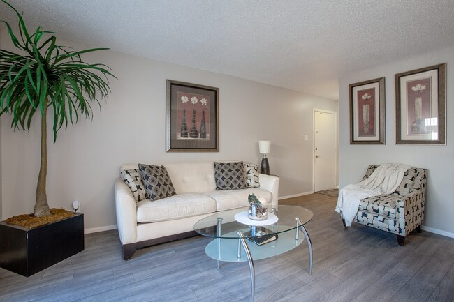 Encanto Lofts Apartments