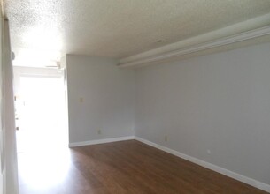 1139 N Park Ave in Springfield, IL - Building Photo - Building Photo