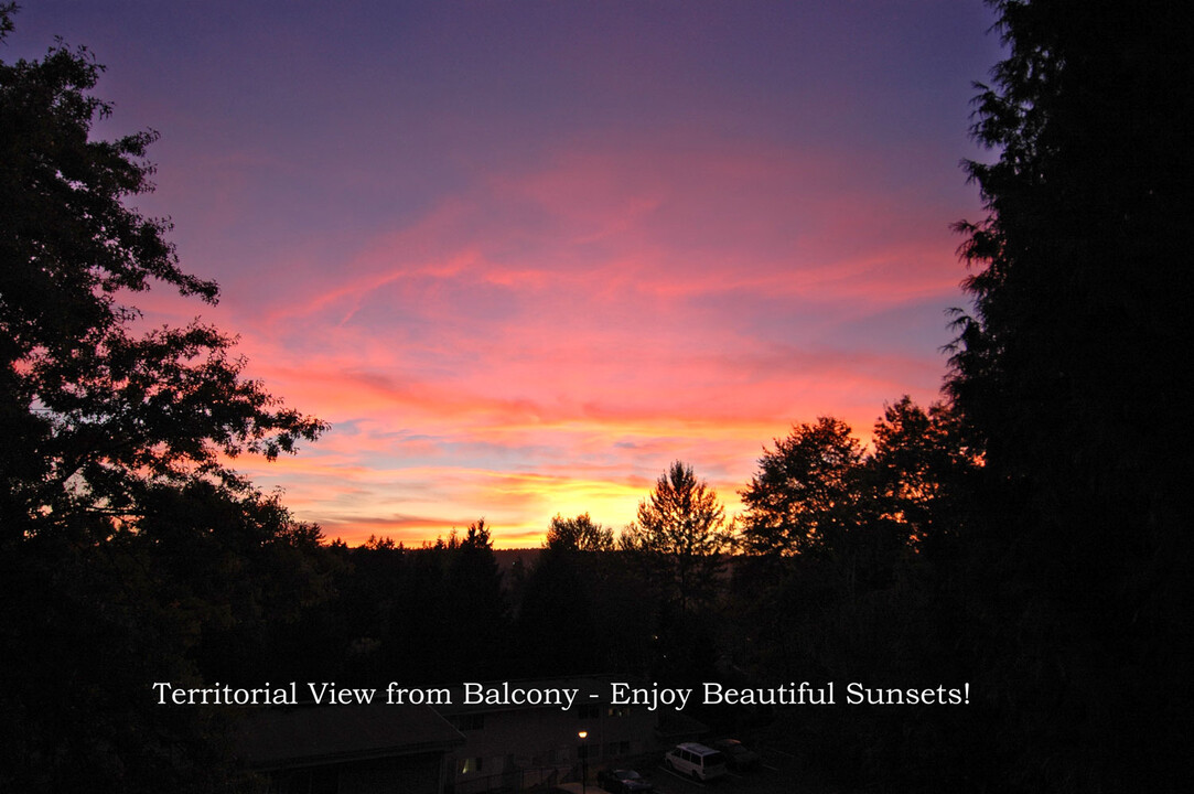 Sunset Apartments in Redmond, WA - Building Photo