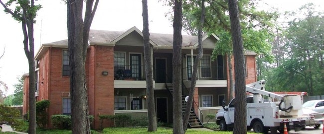 The Reston Apartments in Conroe, TX - Foto de edificio - Building Photo