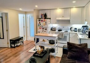 15 Lopez St, Unit A1 in Cambridge, MA - Building Photo