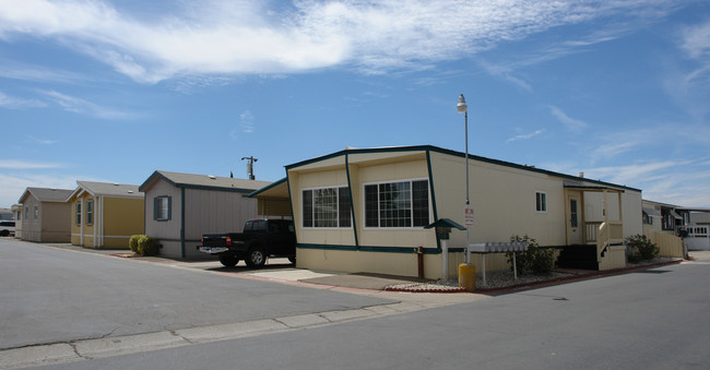 14530 Byron Hwy in Byron, CA - Building Photo - Building Photo