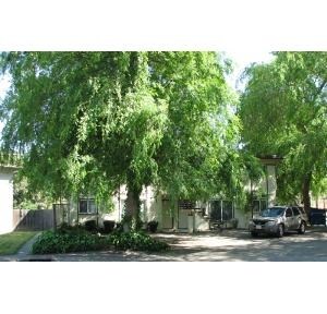 El Parque Apartments in Rancho Cordova, CA - Building Photo - Building Photo