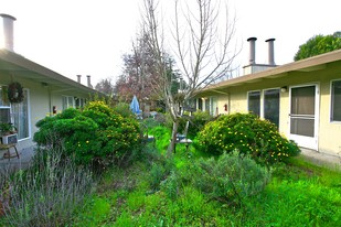 1040 6th St in Novato, CA - Foto de edificio - Building Photo