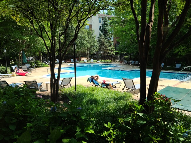 property at 1527 Lincoln Way