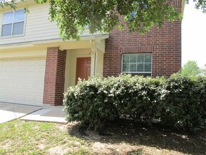 197 Peppergrass Cove in Kyle, TX - Building Photo - Building Photo