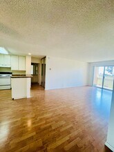 1775 Diamond St in San Diego, CA - Building Photo - Building Photo