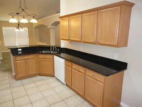 18919 Bellflower Rd in Tampa, FL - Foto de edificio - Building Photo