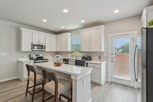 Solstice Springs - Townhomes for Rent in New Braunfels, TX - Building Photo