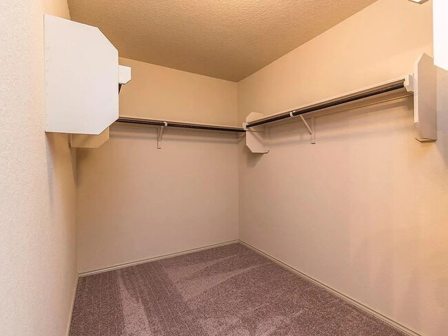 224 Lake Gln in San Marcos, TX - Building Photo - Building Photo