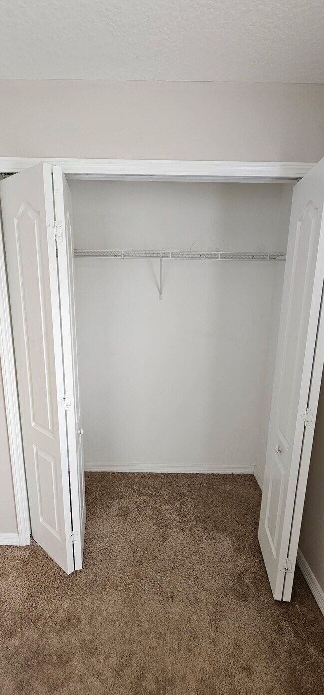 6336 Timberly Ln in Zephyrhills, FL - Building Photo - Building Photo