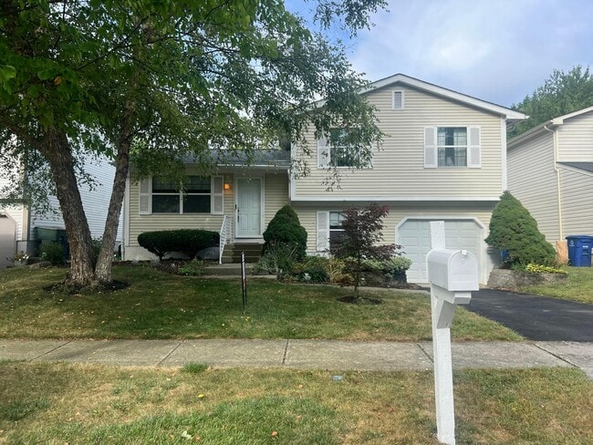 property at 7785 Kiowa Way