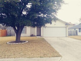 211 Wild Buffalo Dr in Kyle, TX - Building Photo
