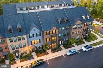 22255 Sims Terrace in Ashburn, VA - Building Photo - Building Photo