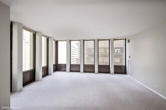 100 E Walton Pl in Chicago, IL - Building Photo - Building Photo