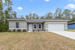10616 N Didiscus Dr in Citrus Springs, FL - Building Photo