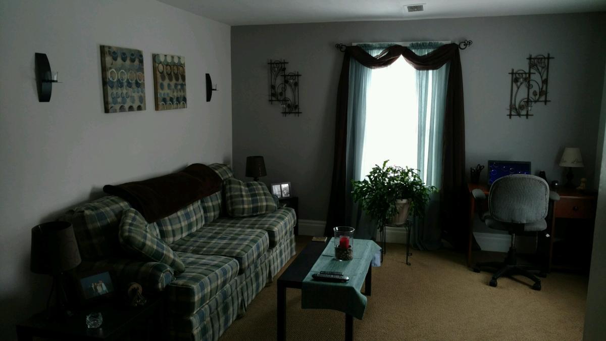 87 E Bayard St in Seneca Falls, NY - Building Photo