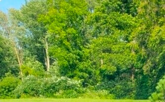 701 Litchfield St, Unit 4 in Bay City, MI - Building Photo