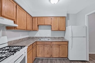 Lake Village in Chesapeake, VA - Foto de edificio - Building Photo