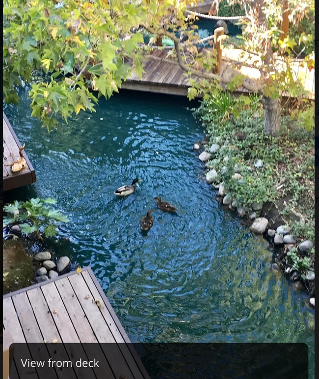 property at 911 Fulton Ave