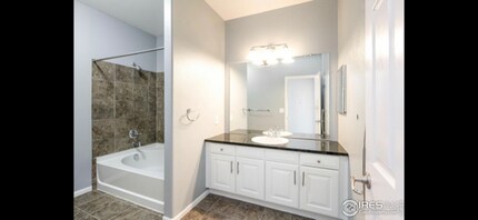 1465 Blue Sky Cir in Erie, CO - Building Photo - Building Photo