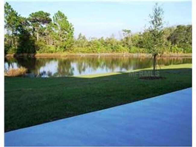 4246 Warwick Hills Dr in Wesley Chapel, FL - Building Photo - Building Photo