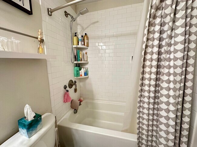 17 Playstead Rd, Unit 1 in Boston, MA - Building Photo - Building Photo